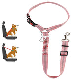 Car Dog LeashYou Spoke. We Listened. ALL NEW Design for 2023!

The Leash makes it easy to take your Dog or Cat in your car safely! Keep your dog off of your lap and from jumping Car Dog Leash