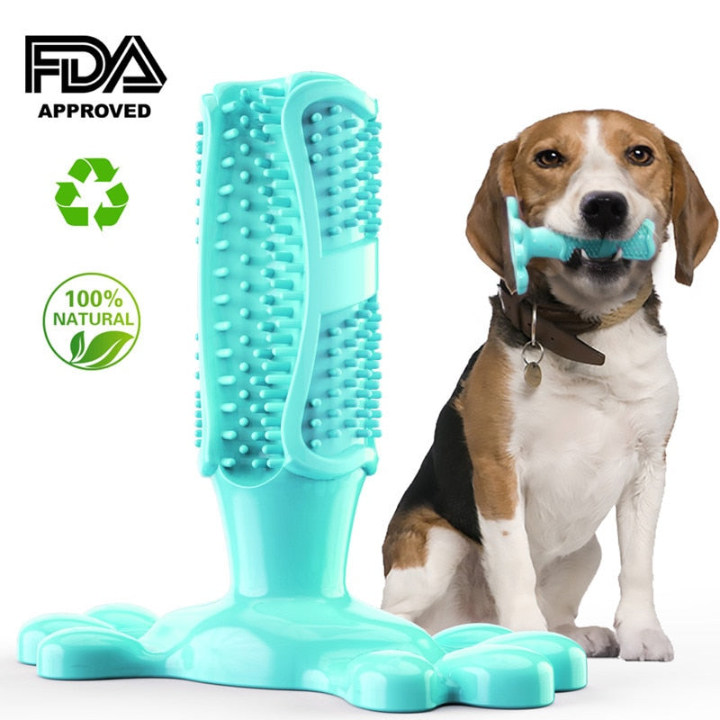 EZ Care Dog ToothbrushLet your dogs brush their own teeth & freshen their own breath! 

80% of dogs face oral health issues by the age of 3, Long-lasting and designed for small and biEZ Care Dog Toothbrush