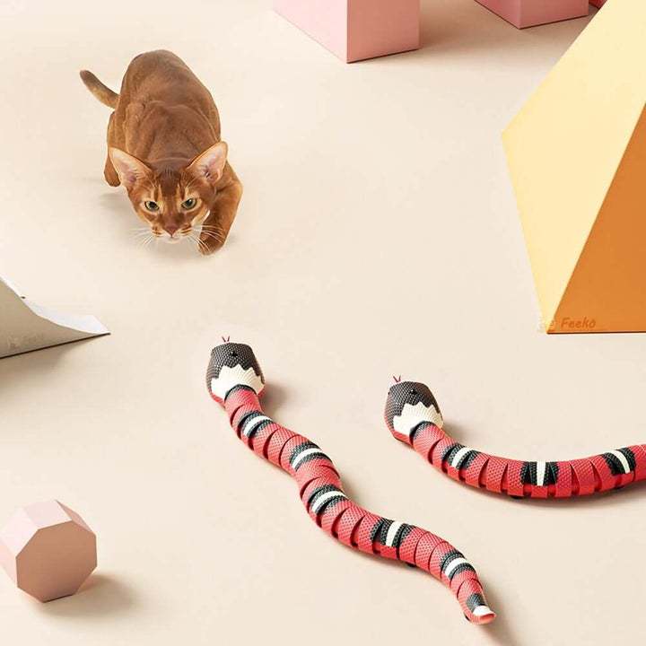 USB Charging Cat Accessories For Pet DogsSPECIFICATIONSType 4: Pet Cat SuppliesType 3: Electric Cat ToyType 2: Simulation Snakes For CatsType 1: Cat Toy SnakeType: catsToys Type: Mice & Animal ToysOrigiUSB Charging Cat Accessories