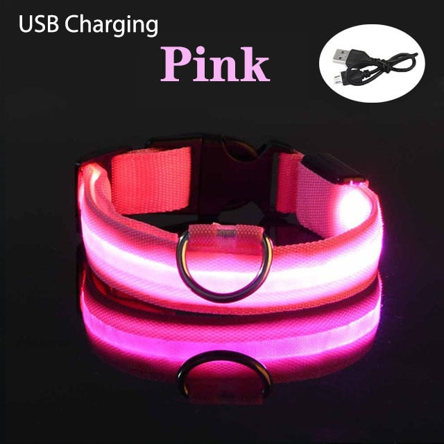 LED Flashing Dog CollarLED Flashing Dog Collar