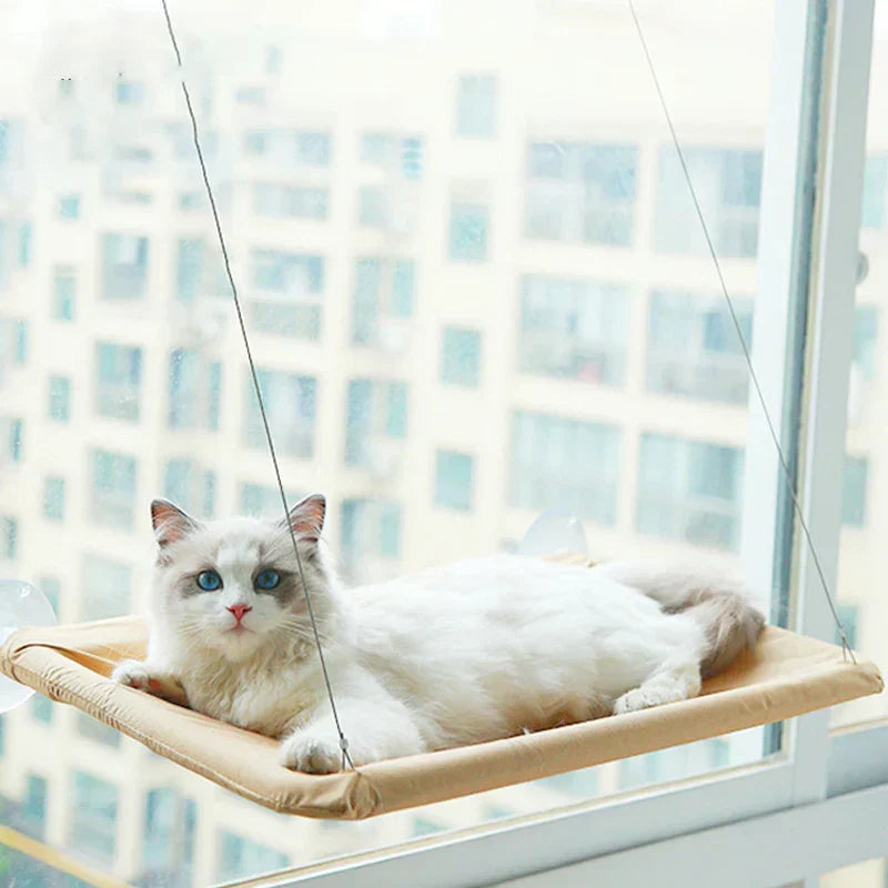 Cat Window Mounted Perch HammockThe Cat Window Mounted Perch Hammock provides a secure and comfortable spot for your cat to relax and observe their surroundings. With its convenient window mount, yCat Window Mounted Perch Hammock