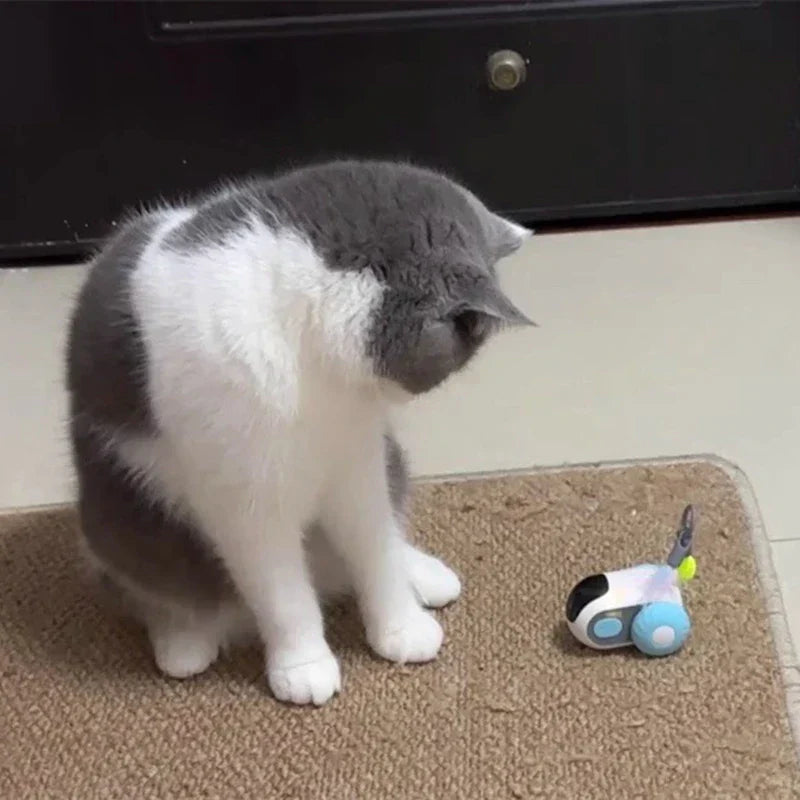 Automatic Cat ToyThe Automatic Cat Toy provides endless entertainment for your feline companion. Its automatic and interactive features engage your cat's natural instincts, keeping tAutomatic Cat Toy