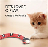 USB Charging Cat Accessories For Pet DogsSPECIFICATIONSType 4: Pet Cat SuppliesType 3: Electric Cat ToyType 2: Simulation Snakes For CatsType 1: Cat Toy SnakeType: catsToys Type: Mice &amp; Animal ToysOrigiUSB Charging Cat Accessories