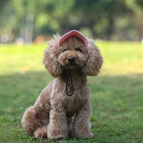 Small Pets HatIntroducing the Small Pets Hat, the perfect accessory for your furry friend! Made with high-quality materials, this hat will keep your pet protected from the sun andSmall Pets Hat