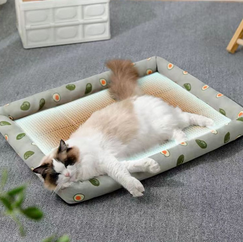 Pet Ice Pad MatIntroducing our innovative Pet Ice Pad Mat, a must-have accessory for your beloved furry friends. This exceptional product provides a cool and comfortable spot for y0Pet Ice Pad Mat