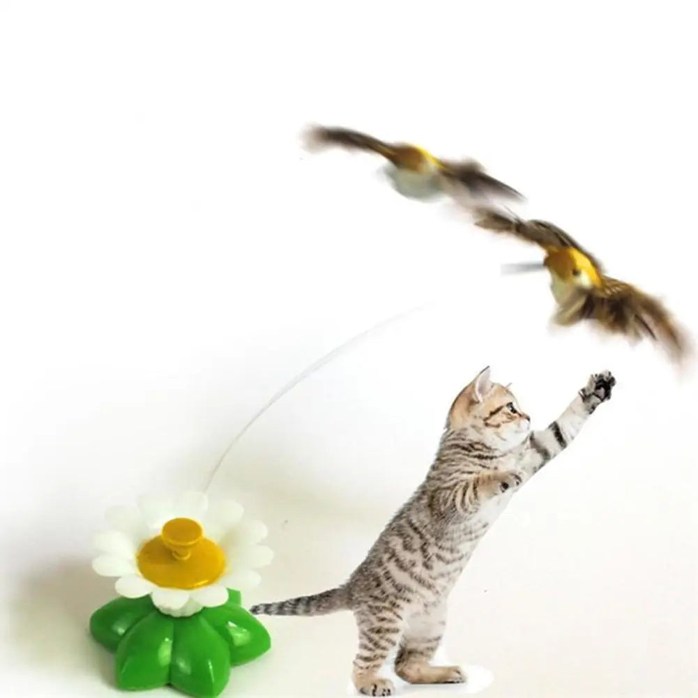 Interactive Cat Toy Automatic Rotating Flying Butterfly Hummingbird CaSPECIFICATIONSBrand Name: HobbyLaneToys Type: Mice & Animal ToysOrigin: Mainland ChinaType: catsIs Smart Device: noMaterial: PlasticTeasing: cat toyPet supplies:Interactive Cat Toy Automatic Rotating Flying Butterfly Hummingbird Cat Games Teasing Accessories Small Animals Pet Supplies