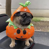 Dog Pumpkin Halloween CostumeIt’s that time of year again! ? Get your pooch ready for Halloween! This hilarious eye-catching dog costume will make your dog stand out this Halloween. Watch your dDog Pumpkin Halloween Costume