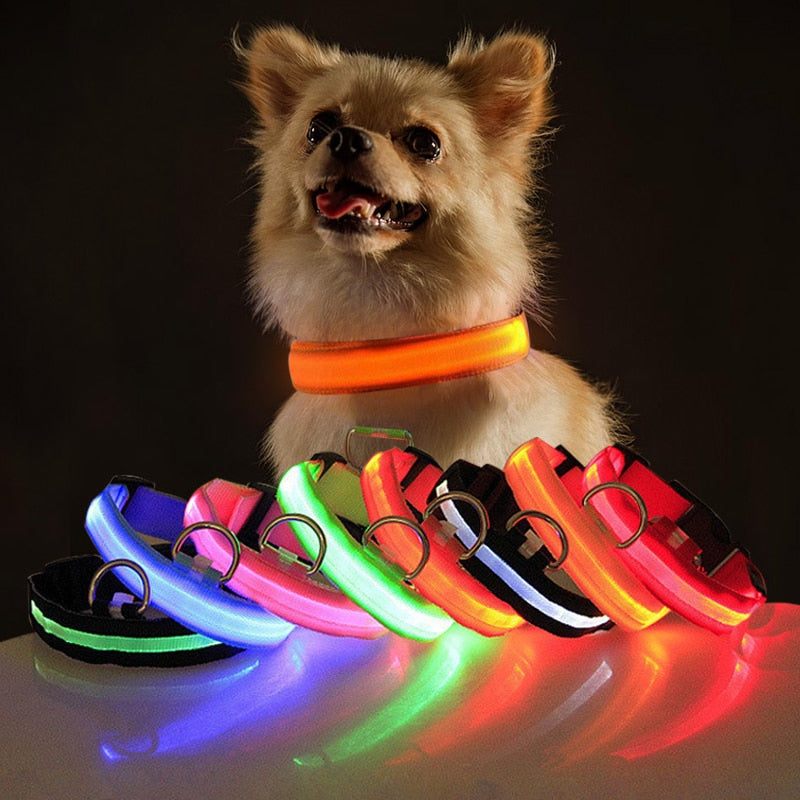 LED Flashing Dog CollarLED Flashing Dog Collar