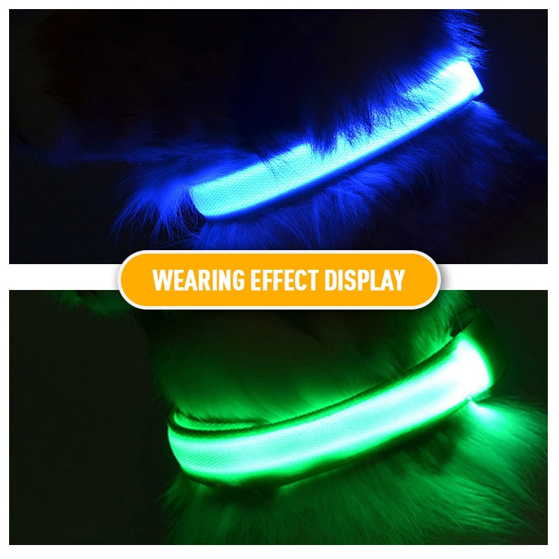 LED Flashing Dog CollarLED Flashing Dog Collar