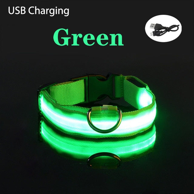 LED Flashing Dog CollarLED Flashing Dog Collar