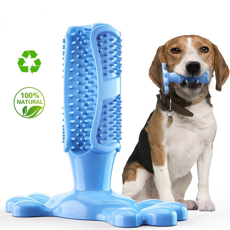 EZ Care Dog ToothbrushLet your dogs brush their own teeth & freshen their own breath! 

80% of dogs face oral health issues by the age of 3, Long-lasting and designed for small and biEZ Care Dog Toothbrush