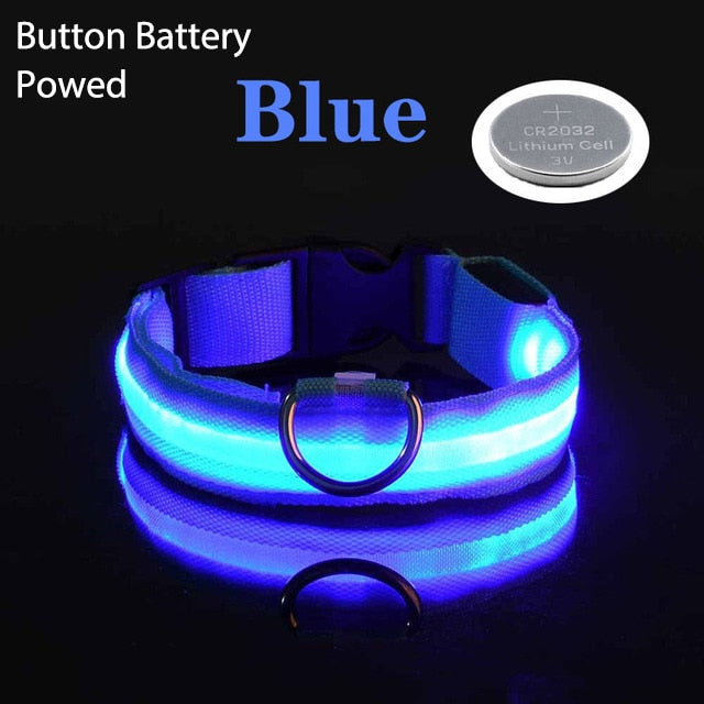 LED Flashing Dog CollarLED Flashing Dog Collar