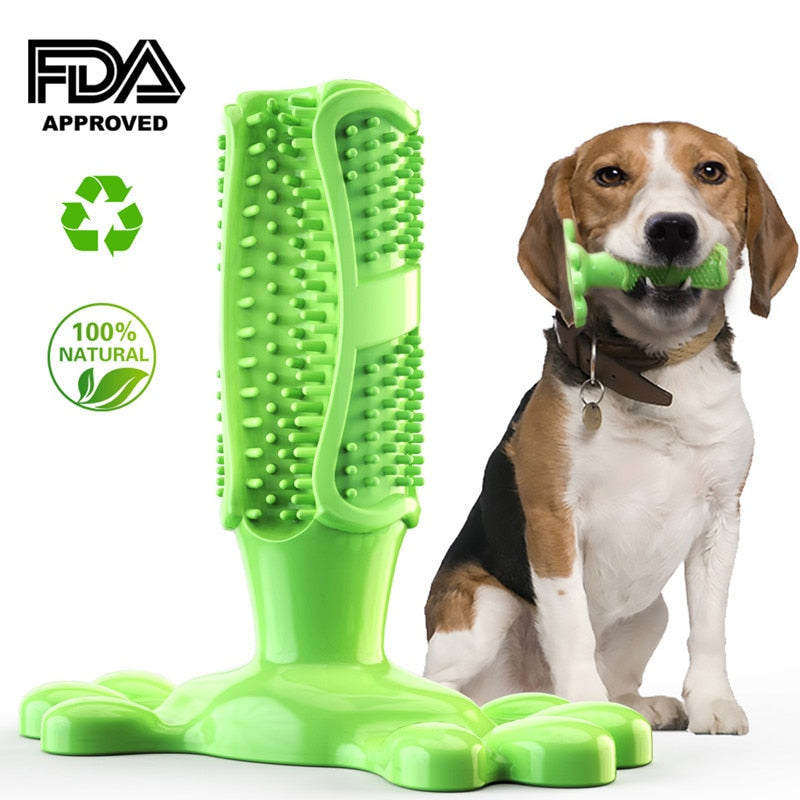 EZ Care Dog ToothbrushLet your dogs brush their own teeth & freshen their own breath! 

80% of dogs face oral health issues by the age of 3, Long-lasting and designed for small and biEZ Care Dog Toothbrush