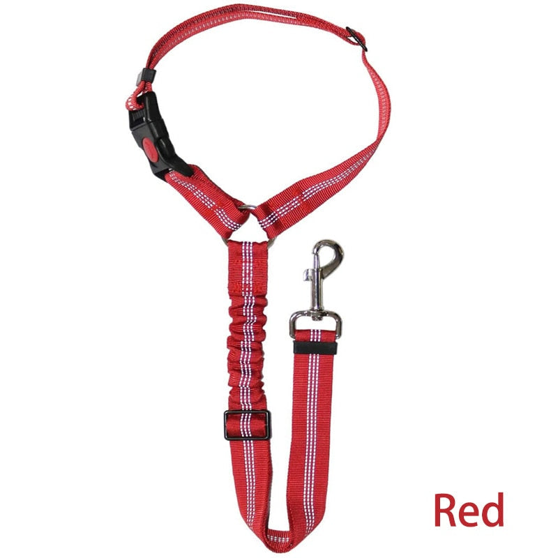 Car Dog LeashYou Spoke. We Listened. ALL NEW Design for 2023!

The Leash makes it easy to take your Dog or Cat in your car safely! Keep your dog off of your lap and from jumping Car Dog Leash