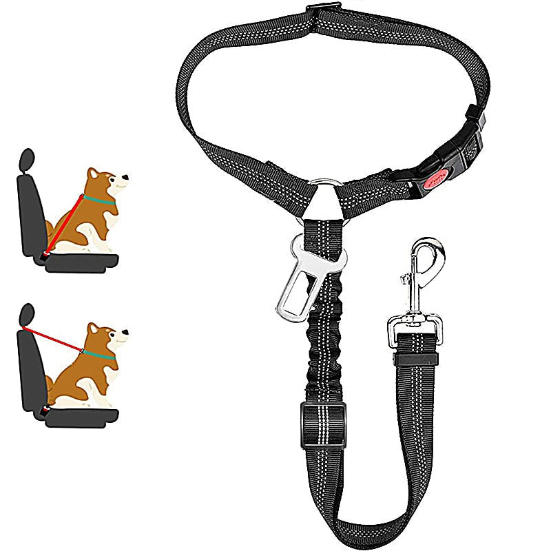 Car Dog LeashYou Spoke. We Listened. ALL NEW Design for 2023!

The Leash makes it easy to take your Dog or Cat in your car safely! Keep your dog off of your lap and from jumping Car Dog Leash