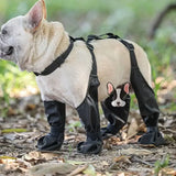 Adjustable Connected Dog Boots - Ultimate Paw ProtectionThese Adjustable Connected Dog Boots offer the ultimate paw protection for your furry friend. With an adjustable fit, these boots provide comfort and security to youAdjustable Connected Dog Boots - Ultimate Paw Protection