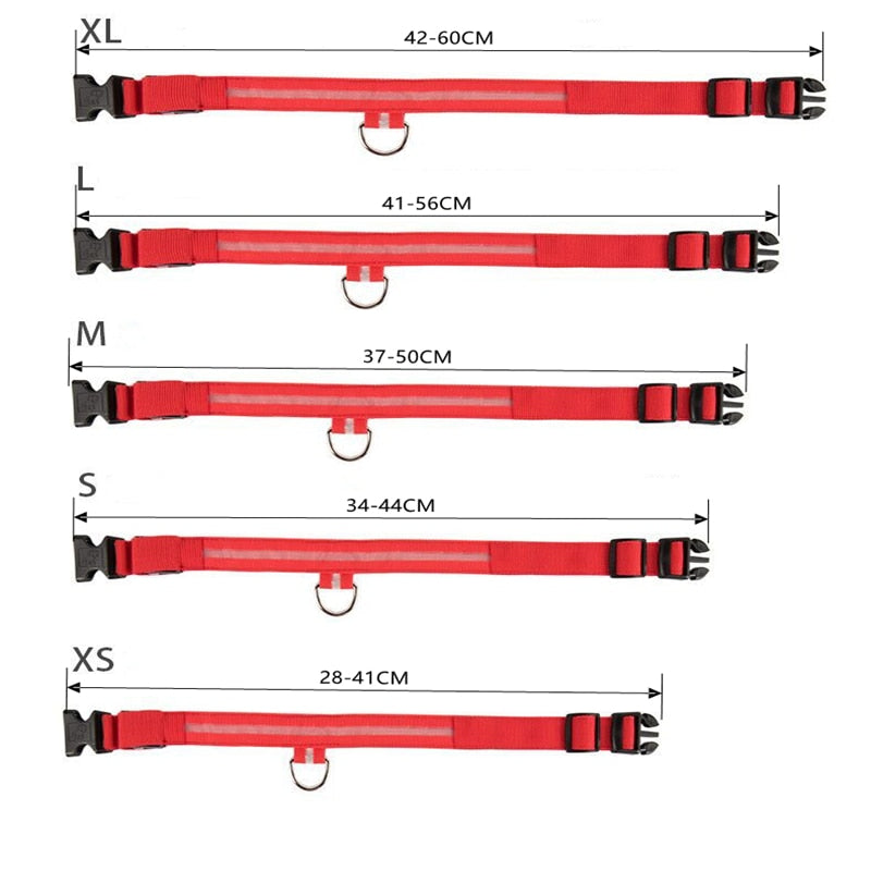 LED Flashing Dog CollarLED Flashing Dog Collar