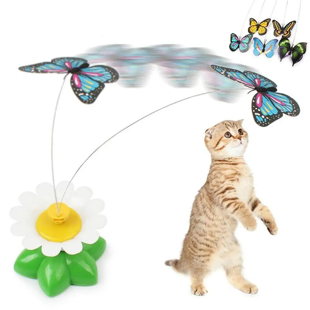 Interactive Cat Toy Automatic Rotating Flying Butterfly Hummingbird CaSPECIFICATIONSBrand Name: HobbyLaneToys Type: Mice & Animal ToysOrigin: Mainland ChinaType: catsIs Smart Device: noMaterial: PlasticTeasing: cat toyPet supplies:Interactive Cat Toy Automatic Rotating Flying Butterfly Hummingbird Cat Games Teasing Accessories Small Animals Pet Supplies