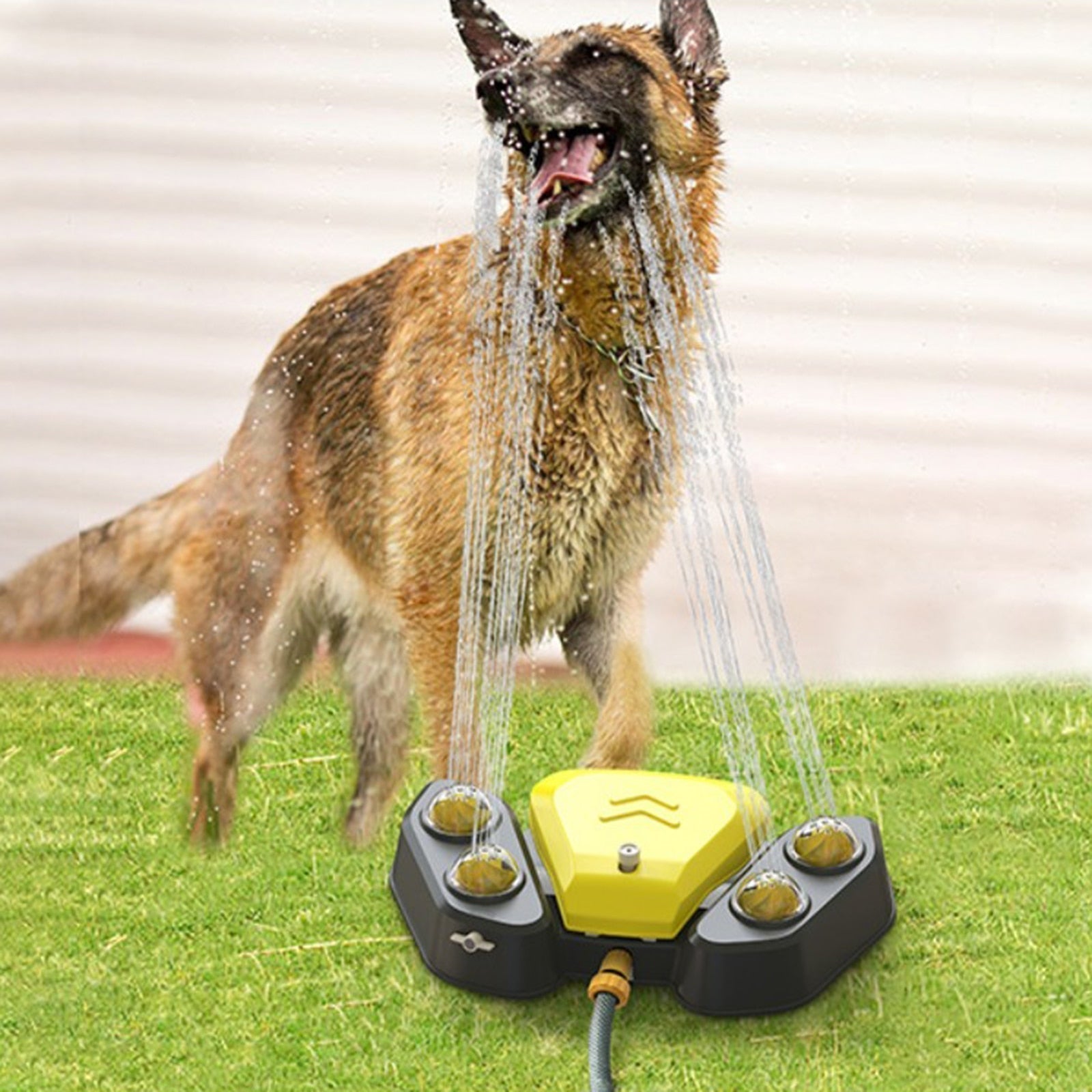 Dog Water SprinklerConvenience: Our automatic dog water dispenser can replace the traditional water feeding bowl. The smart dog presses the pedal to fetch water and keeps drinking fresDog Water Sprinkler