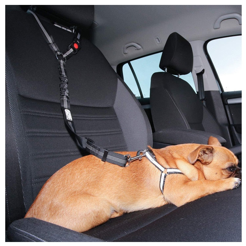 Car Dog LeashYou Spoke. We Listened. ALL NEW Design for 2023!

The Leash makes it easy to take your Dog or Cat in your car safely! Keep your dog off of your lap and from jumping Car Dog Leash