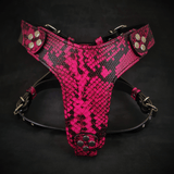 The ''Rock Python'' harness Small to Medium Size
