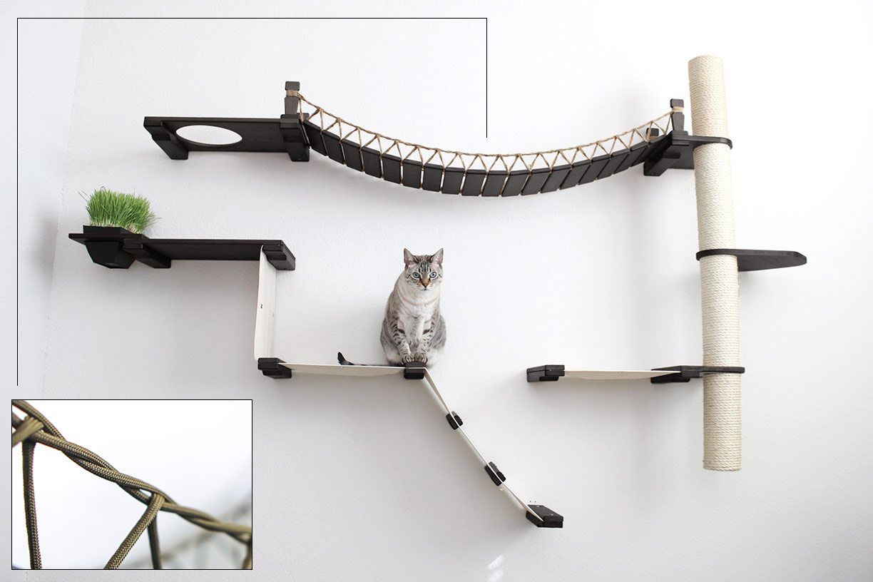 The Expedition - Cat Jungle Gym Wall System by Catastrophic Creations