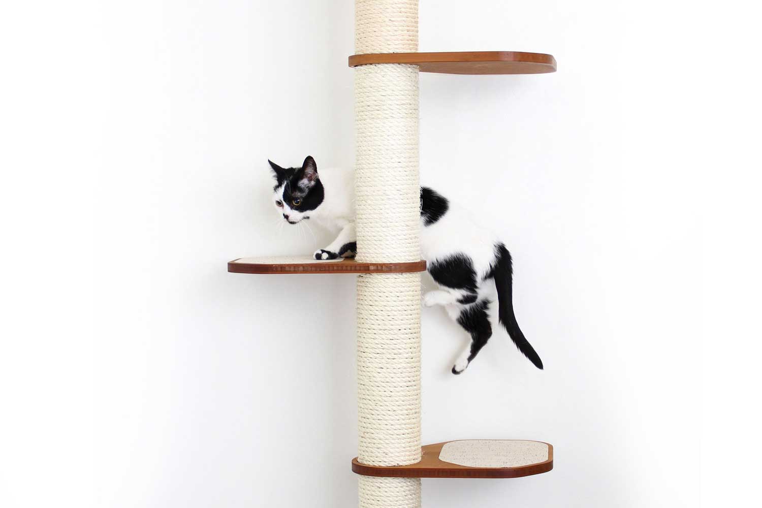 Wall Mounted Cat Climbing Pole - Sisal by Catastrophic Creations