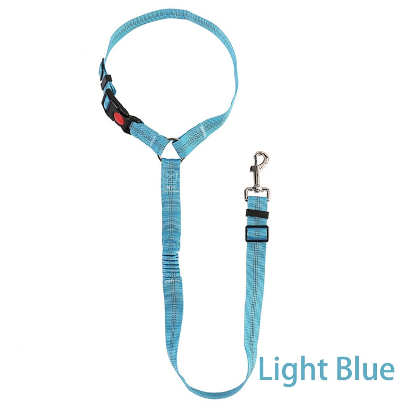 Car Dog LeashYou Spoke. We Listened. ALL NEW Design for 2023!

The Leash makes it easy to take your Dog or Cat in your car safely! Keep your dog off of your lap and from jumping Car Dog Leash