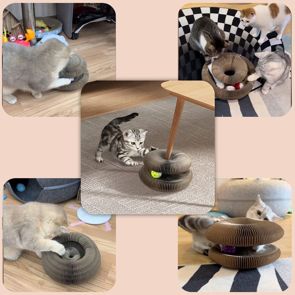 Interactive Self-Rolling Ball Cat ToySPECIFICATIONSType: CatsType: catsToys Type: BallsSupport: Dropshipping,wholesaleSpecifications: 24cmx24cmx10cmOrigin: Mainland ChinaName: Magic organ cat scratch bo-Rolling Ball Cat Toy