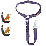 Car Dog LeashYou Spoke. We Listened. ALL NEW Design for 2023!

The Leash makes it easy to take your Dog or Cat in your car safely! Keep your dog off of your lap and from jumping Car Dog Leash