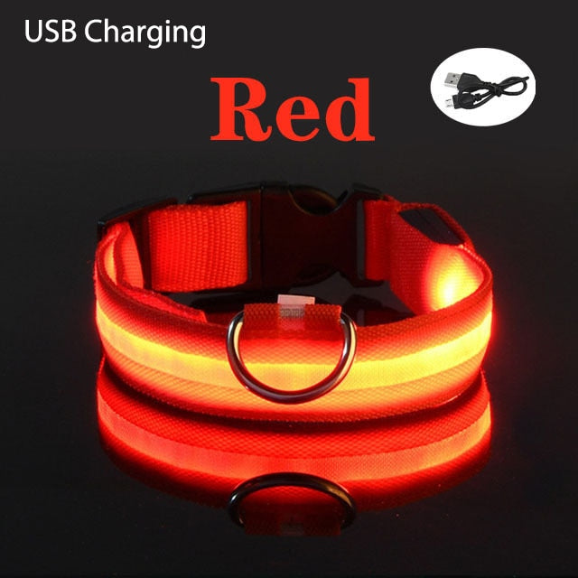 LED Flashing Dog CollarLED Flashing Dog Collar