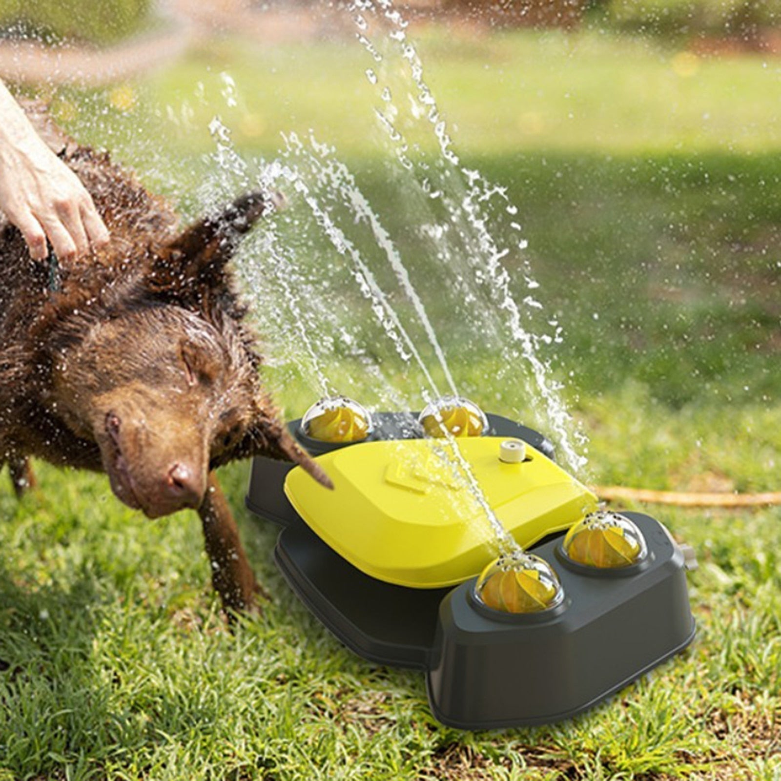 Dog Water SprinklerConvenience: Our automatic dog water dispenser can replace the traditional water feeding bowl. The smart dog presses the pedal to fetch water and keeps drinking fresDog Water Sprinkler