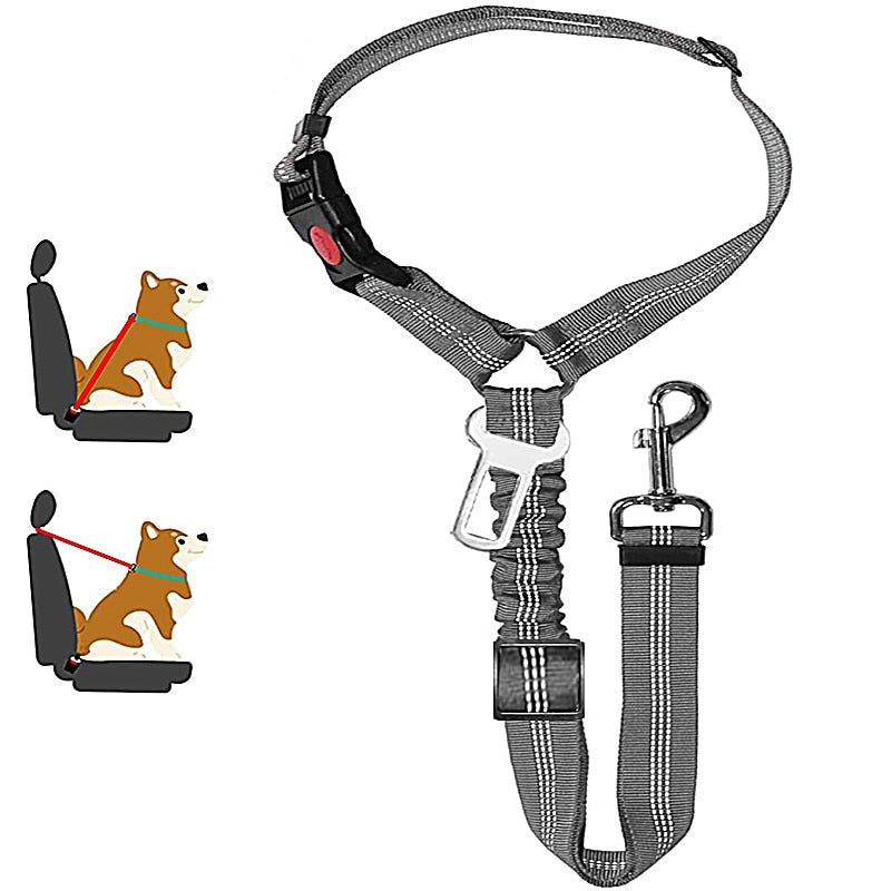 Car Dog LeashYou Spoke. We Listened. ALL NEW Design for 2023!

The Leash makes it easy to take your Dog or Cat in your car safely! Keep your dog off of your lap and from jumping Car Dog Leash