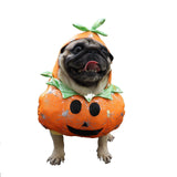 Dog Pumpkin Halloween CostumeIt’s that time of year again! ? Get your pooch ready for Halloween! This hilarious eye-catching dog costume will make your dog stand out this Halloween. Watch your dDog Pumpkin Halloween Costume