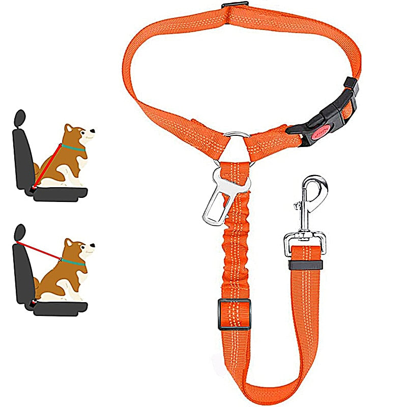 Car Dog LeashYou Spoke. We Listened. ALL NEW Design for 2023!

The Leash makes it easy to take your Dog or Cat in your car safely! Keep your dog off of your lap and from jumping Car Dog Leash