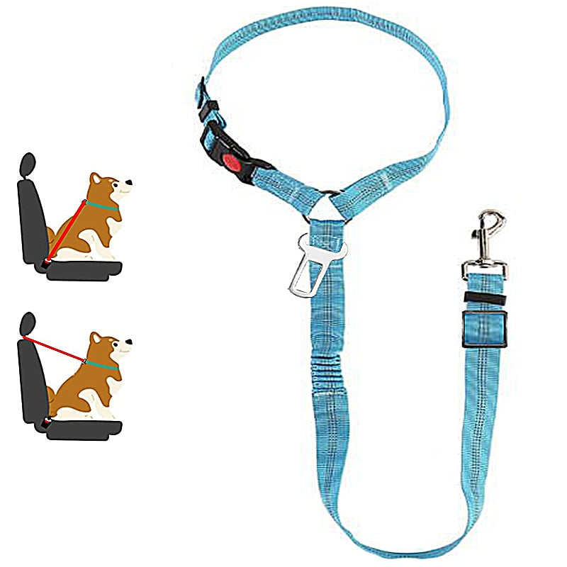 Car Dog LeashYou Spoke. We Listened. ALL NEW Design for 2023!

The Leash makes it easy to take your Dog or Cat in your car safely! Keep your dog off of your lap and from jumping Car Dog Leash