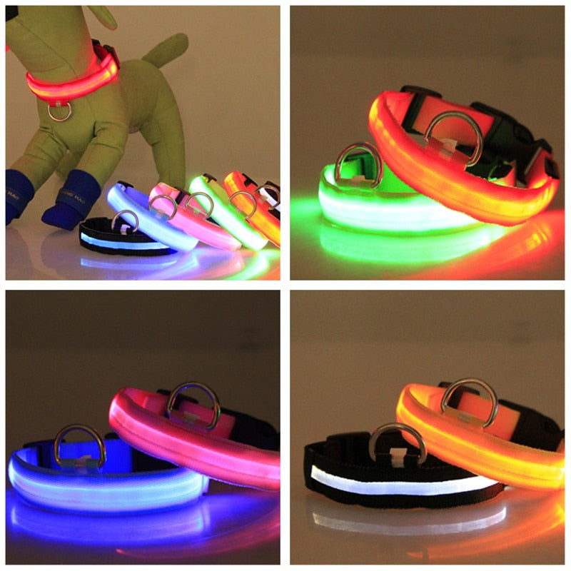 LED Flashing Dog CollarLED Flashing Dog Collar