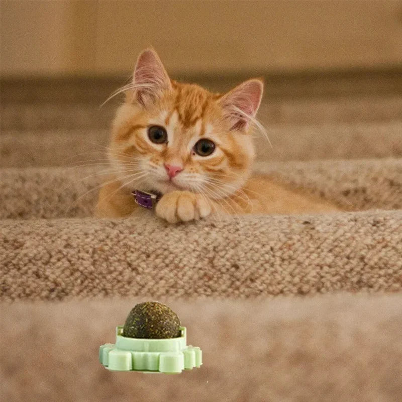 Natural Catnip Rotating Interactive Cat ToyEnhance your cat's playtime with our Natural Catnip Rotating Interactive Cat Toy. Built with natural catnip, this toy will keep your furry friend entertained and stiNatural Catnip Rotating Interactive Cat Toy