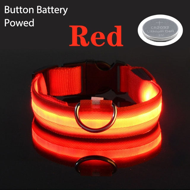 LED Flashing Dog CollarLED Flashing Dog Collar