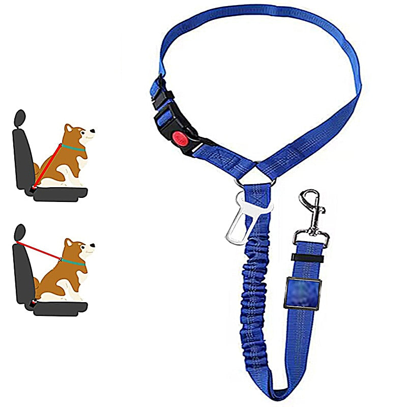 Car Dog LeashYou Spoke. We Listened. ALL NEW Design for 2023!

The Leash makes it easy to take your Dog or Cat in your car safely! Keep your dog off of your lap and from jumping Car Dog Leash