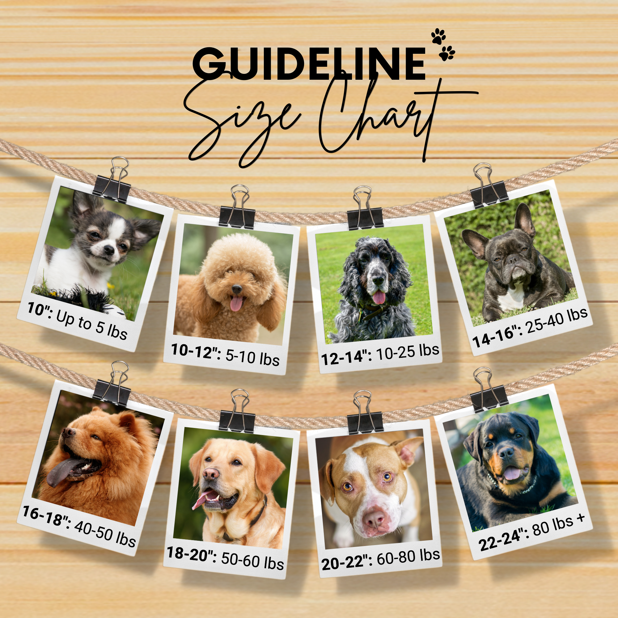 Aztec Sambboho dog collar