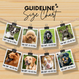 Aztec Sambboho dog collar