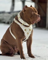 The "Maximus" harness White