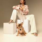 SoHo Dog Harness - Blush Pink