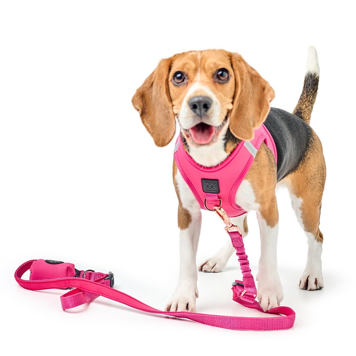 3-in-1 City Dog Leash - Park Ave Pink