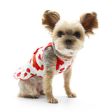 Strawberry Dress