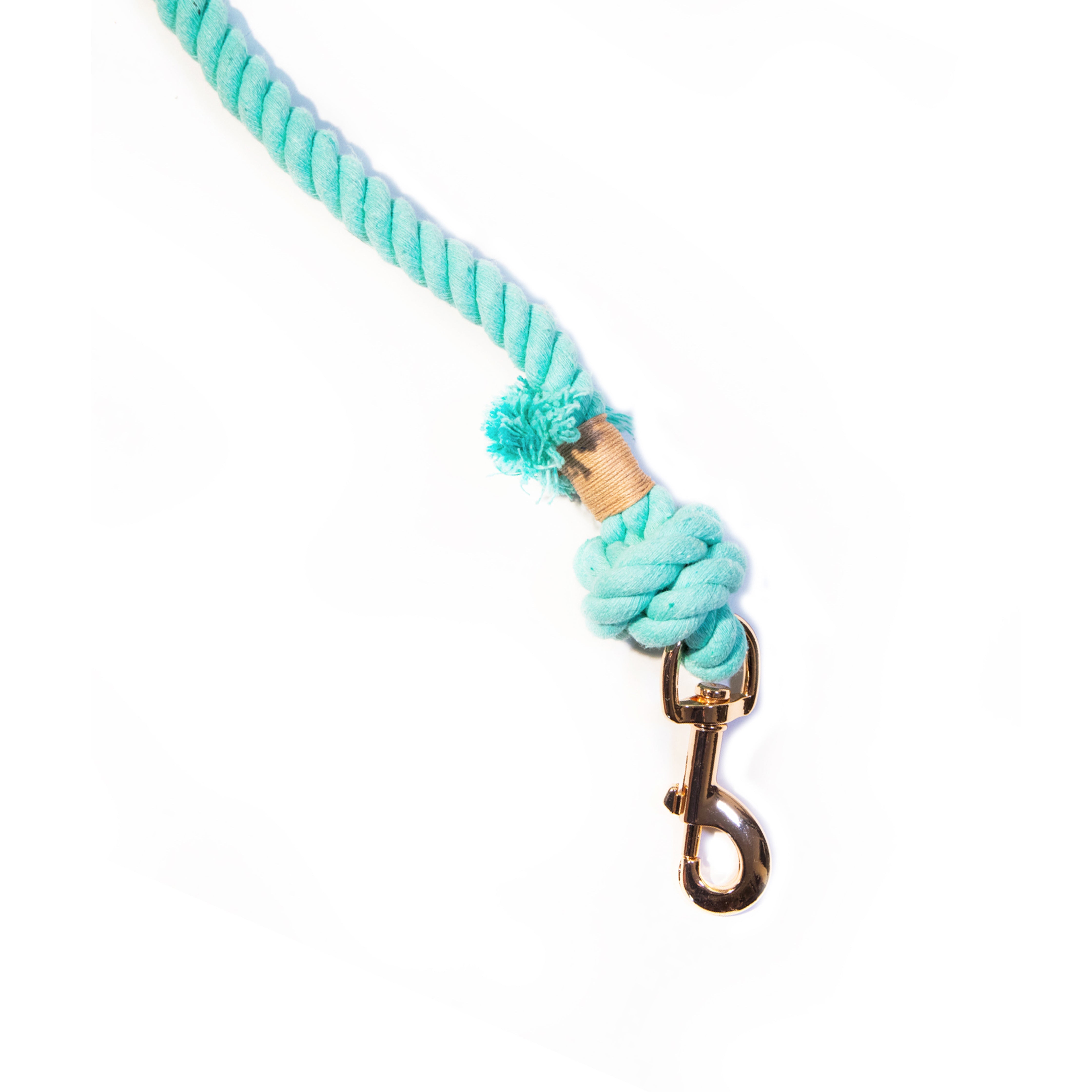 Turquoise Boho Chic Style Leash