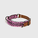 Forever Collar
