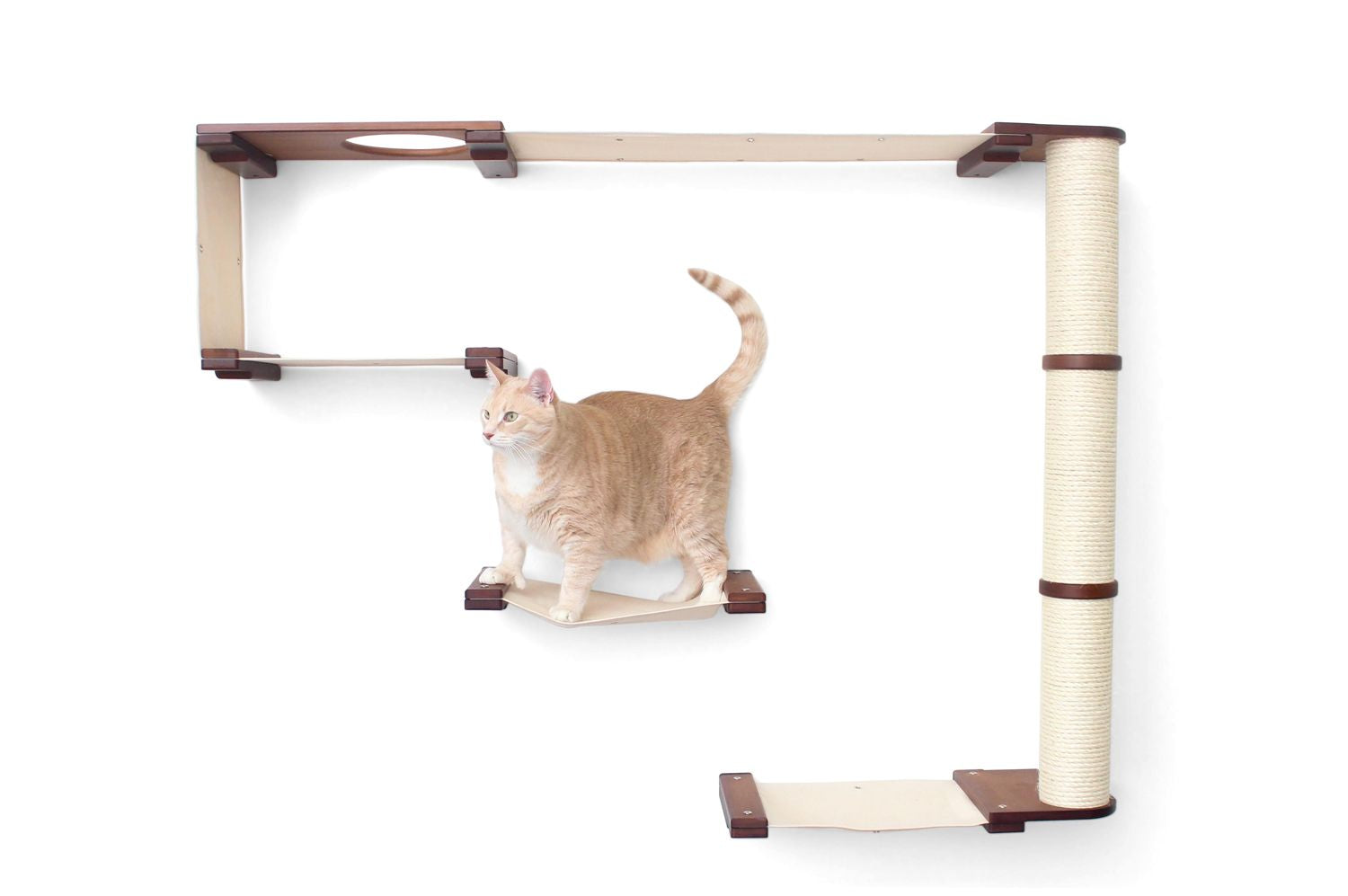 The Climb Condo - Cat Wall Climbing System by Catastrophic Creations