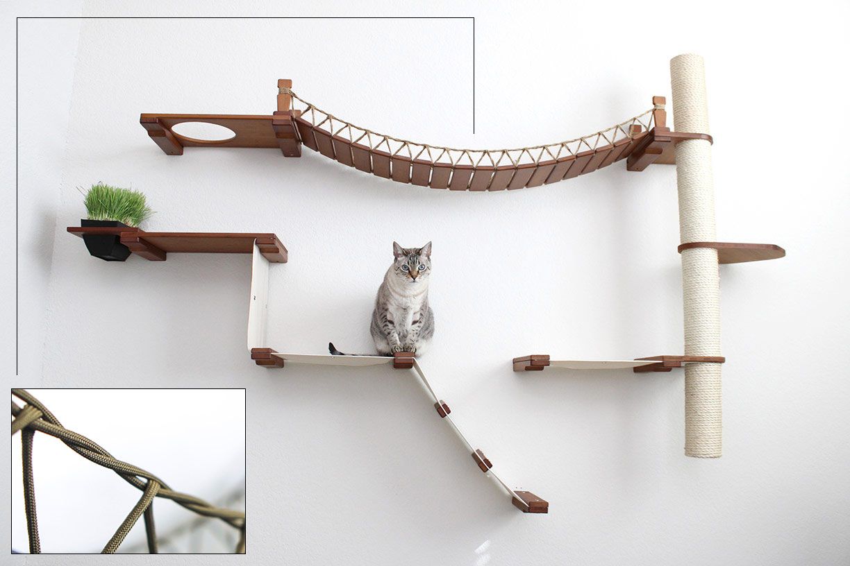 The Expedition - Cat Jungle Gym Wall System by Catastrophic Creations